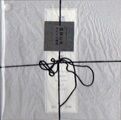 幽霊計画 揺れるは幽霊 demo CD 揺れるは幽霊 Albums: songs
