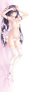 ＣＡＲＮＥＬＩＡＮ 2012　SPRING　DAKIMAKURA裏