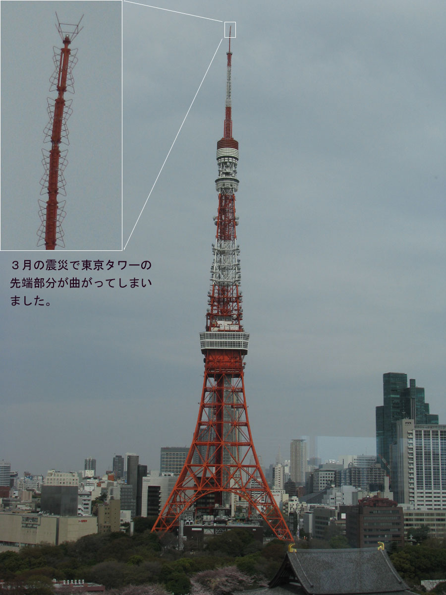 東京タワー Neoroca 3d Studio