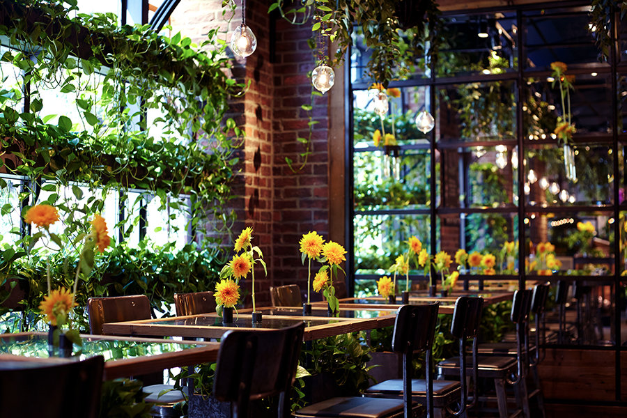 ボタニカルの裏面 これからの飲食店を創ろ