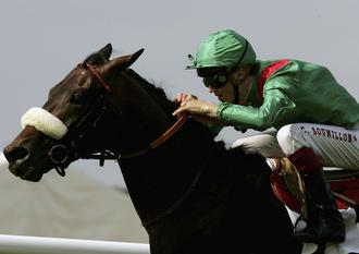 今年の仏ダービー馬ダルシが引退 競馬ステーションneo