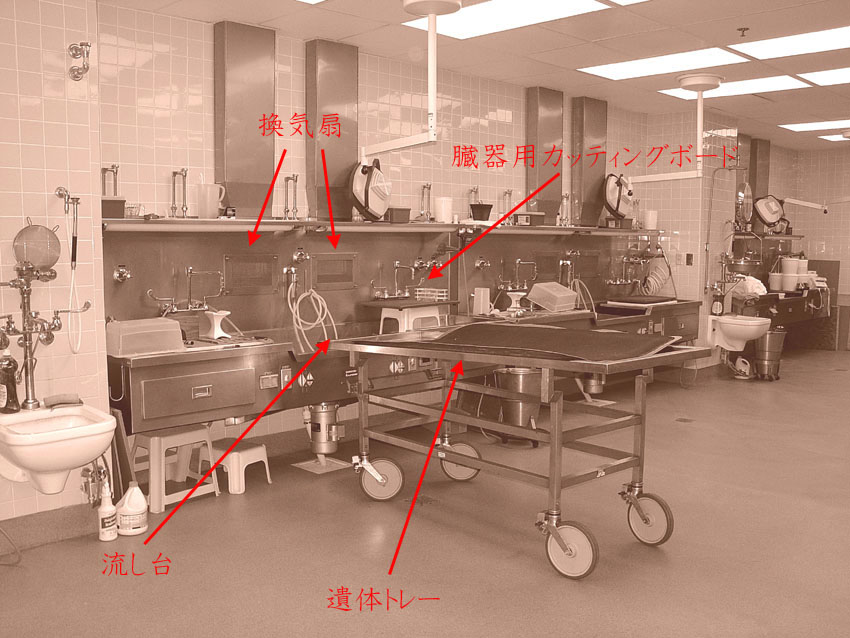 解剖室 ちょいワル 司法解剖 検死 カメラマン Naoのフロリダ豪遊記 ゴルフもねー