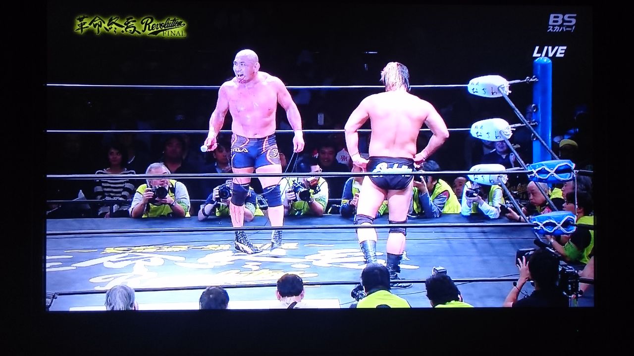 11 15 天龍プロジェクト両国大会 天龍引退興行を振り返る １１ ネプスルブログ