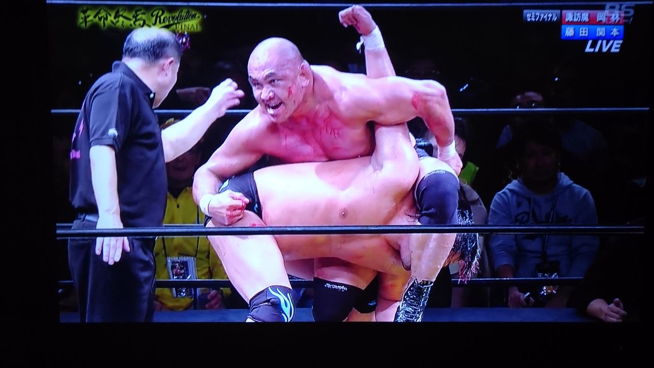 11 15 天龍プロジェクト両国大会 天龍引退興行を振り返る １１ ネプスルブログ