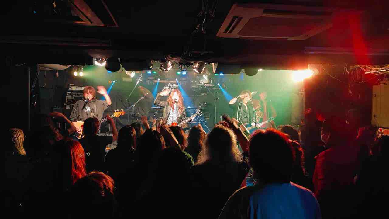 練馬マッチョマン、アルバム発売記念ライブ終了 : CAPの独り言
