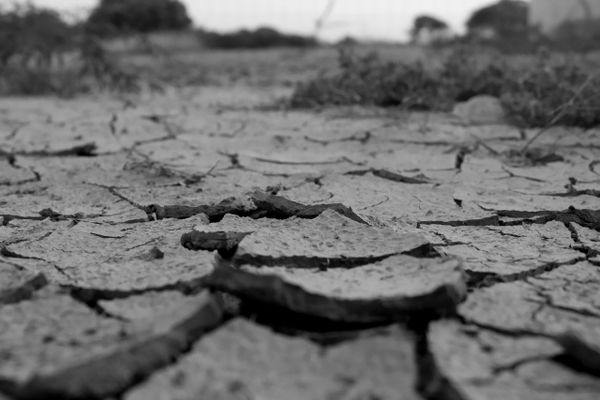 「干ばつに苦しむ村」後味の悪い話