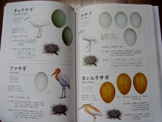 世界655種 鳥と卵と巣の大図鑑」完成 : 鈴木まもる 草刈り薪割り日記