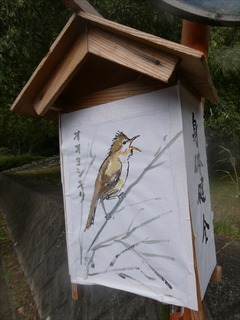 s-PBK_2082