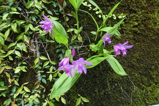 s-P1050427