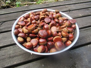 s-IMG_3545