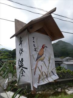 s-PBK_2081