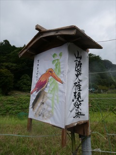 s-PBK_2080