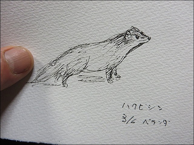 バサラ山のいろいろと26の瞳 鈴木まもる 草刈り薪割り日記