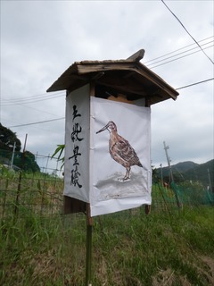s-PBK_2078