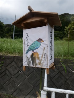 s-PBK_2074