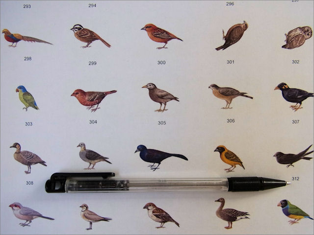 世界655種　鳥と卵と巣の大図鑑 世界655種 鳥と卵と巣の大図鑑 | 吉村 卓三, 林 良博, 鈴木 まもる |本