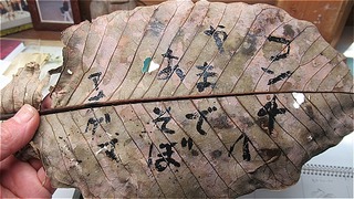 s-IMG_0139