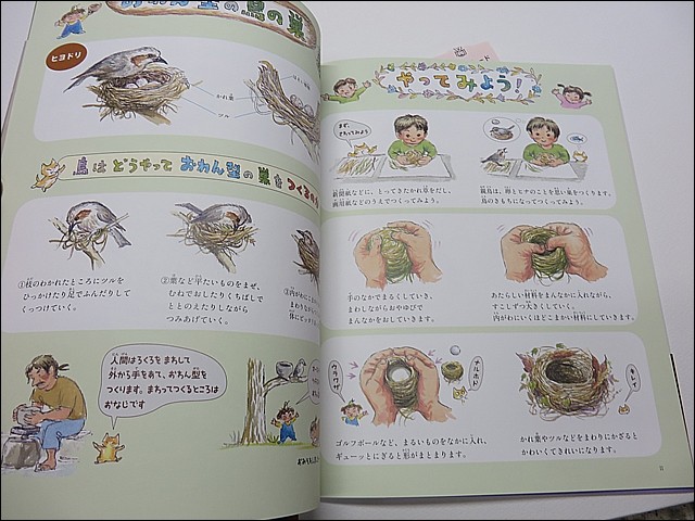 鳥の巣つくろう 完成 鈴木まもる 草刈り薪割り日記