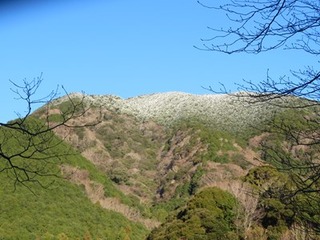 s-IMG_2261