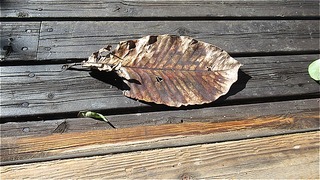s-IMG_0138