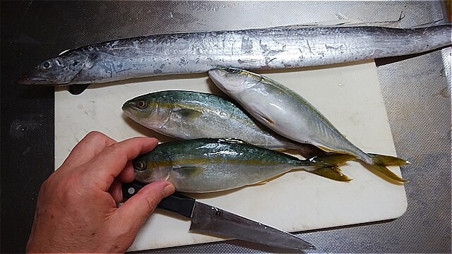 15円の刺身の盛り合わせ 鈴木まもる 草刈り薪割り日記