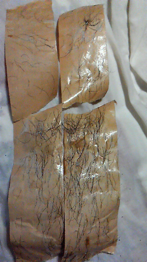 【すね毛注意】ガムテープで何処まで脱毛出来るのか試す ...