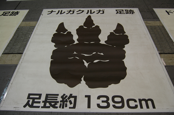 足跡002