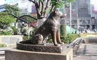 ハチ公