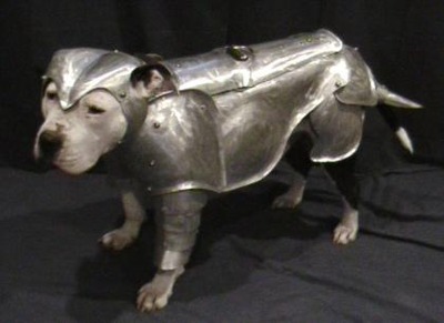 dog-armor