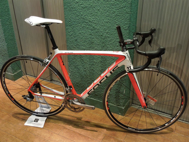 focus izalco sale