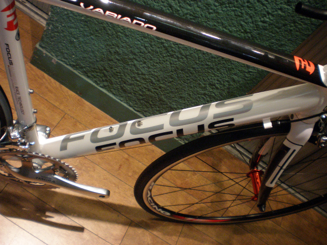 2010 FOCUS VARIADO がお買得！ : Viento（ヴィエント） -神田 