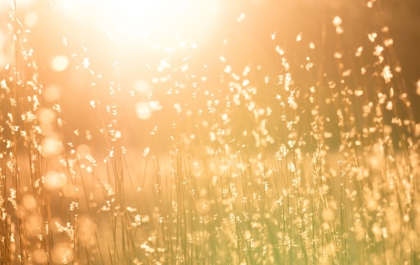 kent-pilcher-87MIF4vqHWg-unsplash