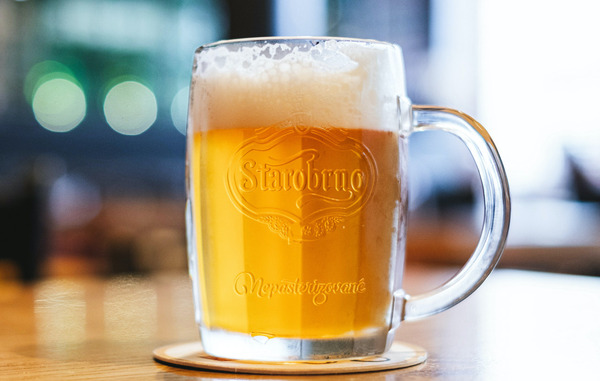 MIYAZAKI19116794_TP_V