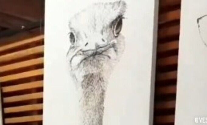 ホッチキスでダチョウを描く