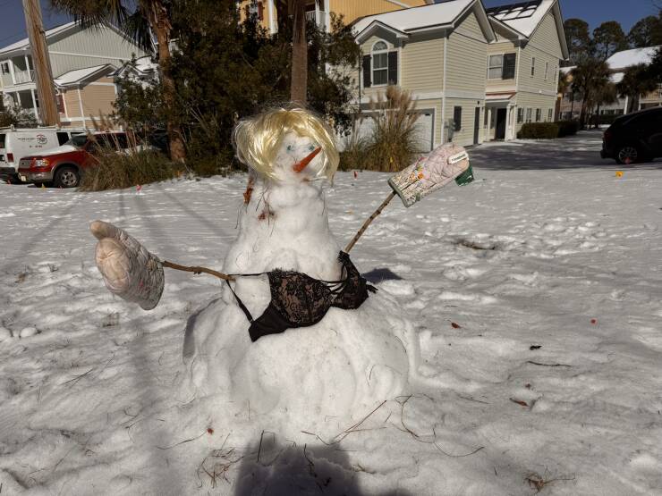 【画像】セクシーだけど雑な造りの雪だるま