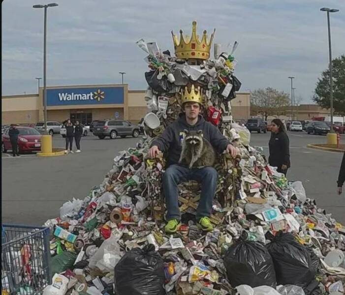 【画像】ゴミ山のキングとアライグマ！！