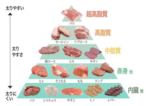 太りやすい「肉」と太りにくい「肉」一覧