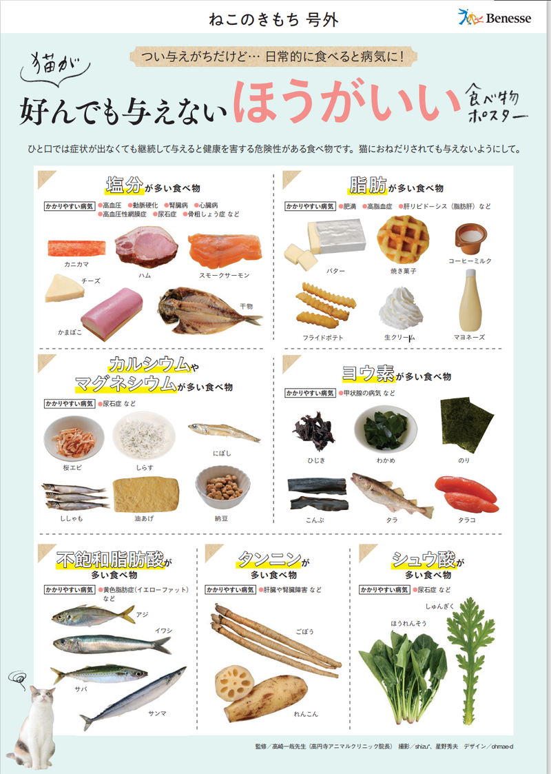 【画像】ネコに与えてはイケナイ食品の一覧画像