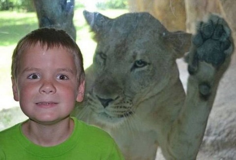 動物園のライオンとツーショットを撮った少年。