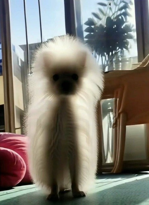 光に包まれた可愛らしい宇宙人の写真