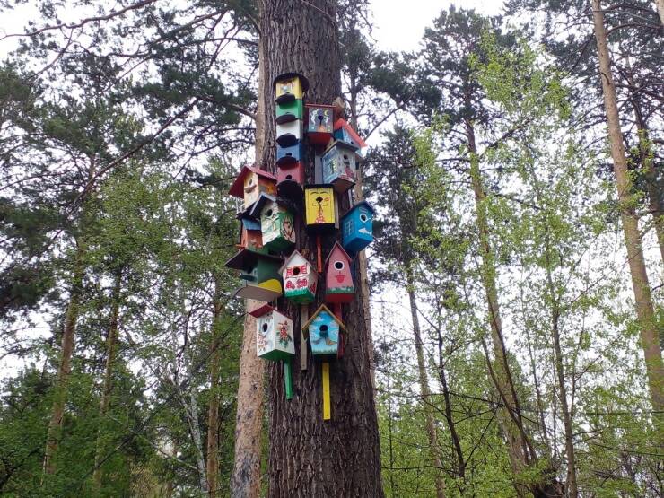 【画像】トリさんの為の集合住宅