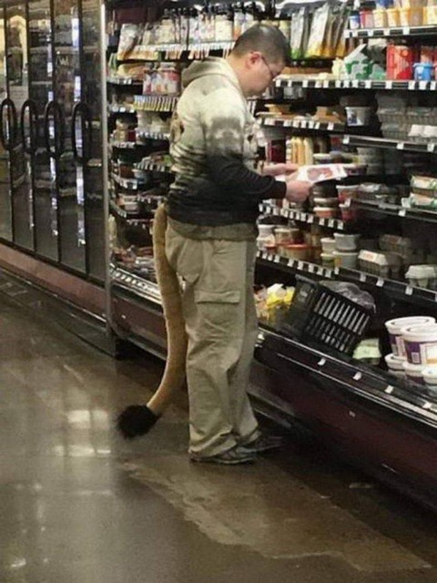 けものフレンズ