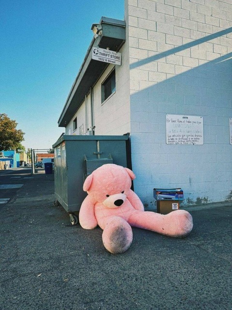 捨てられてしまった巨大なクマのぬいぐるみ