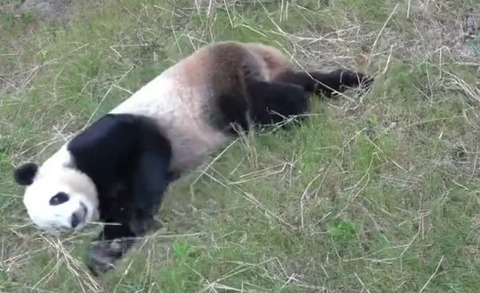 2023y10m15d_083545640