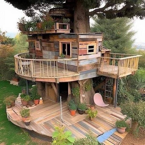 木と同化している素敵な秘密基地みたいな家