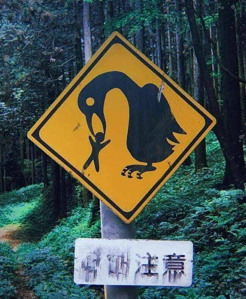 巨鳥、怪鳥に注意！の標識