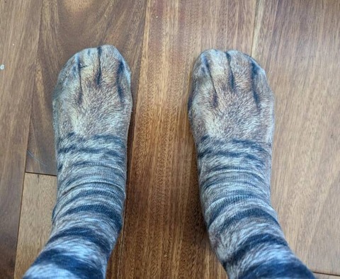 動物の足みたいになる靴下のデザイン。
