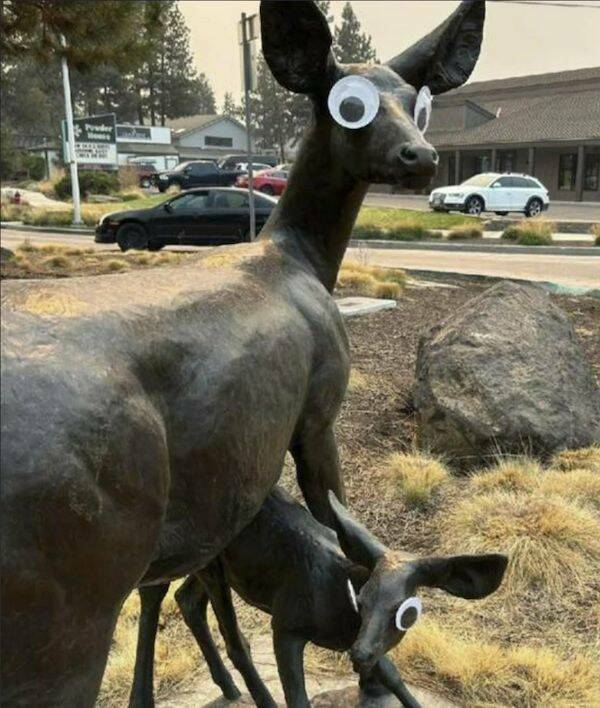 【画像】銅像に大きな「目」を付けると変わった印象に…。