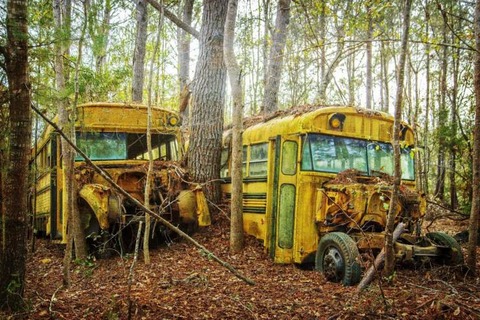 うち捨てられた「黄色いバス」的な画像…ｗ！！