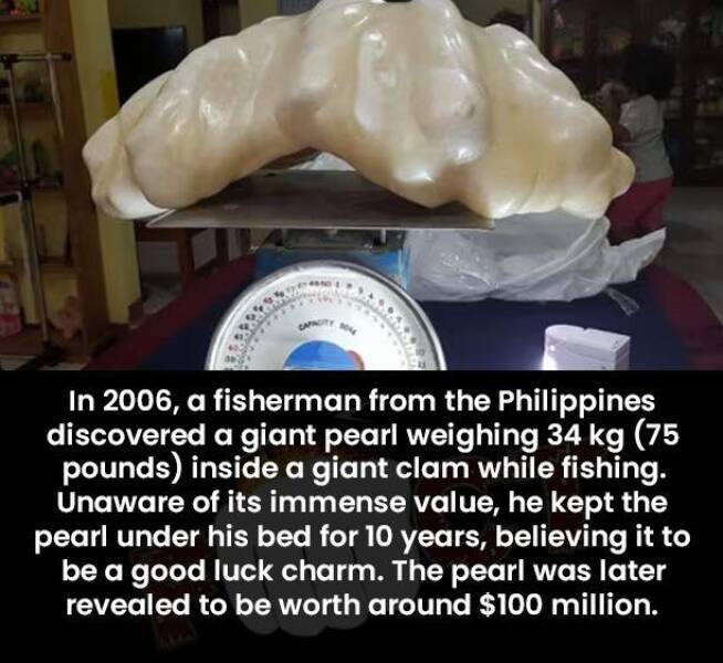 【画像】これが世界最大の「真珠」だ！！